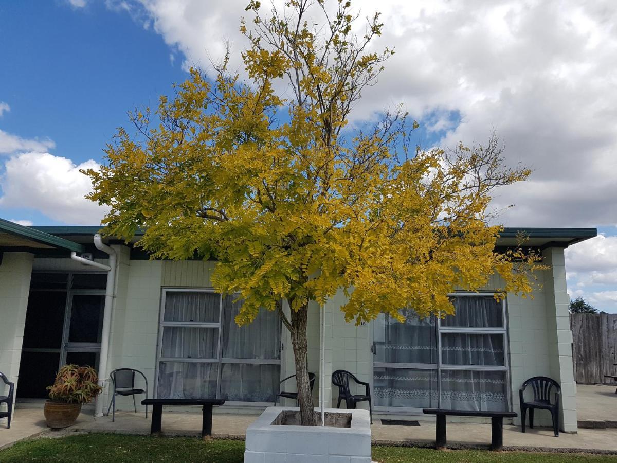 Parkview Motel Dargaville Dış mekan fotoğraf